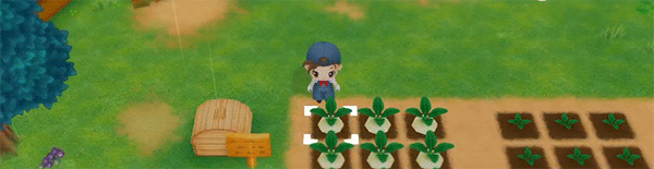 《牧场物语：再会矿石镇/STORY OF SEASONS: Friends of Mineral Town》V1.04官中简体|容量2GB