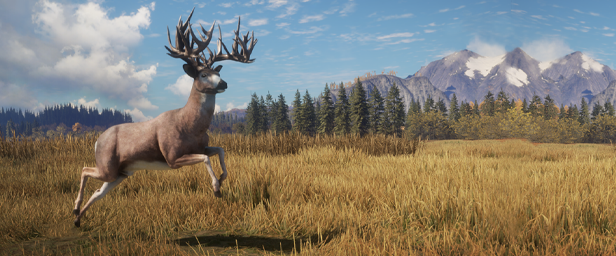 《猎人:野性的呼唤/猎人:荒野的呼唤/theHunter: Call of the Wild》V2903389-P2P-集成萨尔茨维森DLC|全DLC|-官中简体|支持键鼠.手柄|赠满财富技能小屋位置存档|容量89.1GB