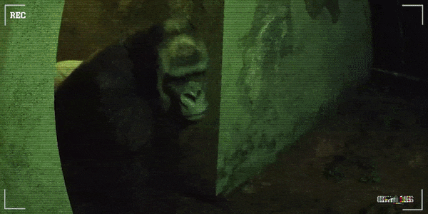 《癫狂动物园 Zoochosis》V1.4.6-官中简体|容量6.66GB