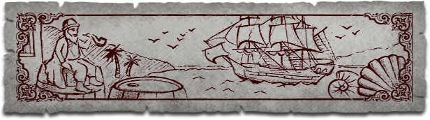 《暴风雨/风暴之海/Tempest Pirate City/Tempest Pirate Action RPG》BUILD 12590985整合DLCPirate City|官中|容量483MB