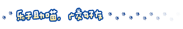 《小猫咪大城市 Little Kitty Big City》V1.24.12.10-P2P-官中简体|容量1.24GB