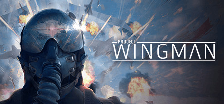 《僚机计划/Project Wingman》v2.1.0-集成前线59战役DLC|-官中简体|支持键鼠.手柄|容量13.2GB