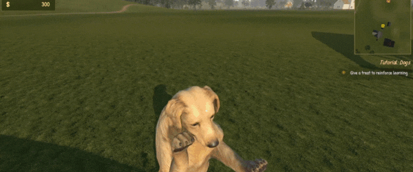 《动物训导师模拟器 Animal Trainer Simulator》TENOKE官中简体|容量5.52GB