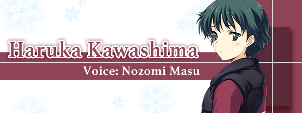 《白色相簿：编缀的冬日回忆/WHITE ALBUM: Memories like Falling Snow》v1.0|容量3.45GB|官方繁体中文|支持键盘.鼠标.手柄