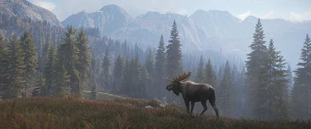 《猎人:野性的呼唤/猎人:荒野的呼唤/theHunter: Call of the Wild》V2903389-P2P-集成萨尔茨维森DLC|全DLC|-官中简体|支持键鼠.手柄|赠满财富技能小屋位置存档|容量89.1GB