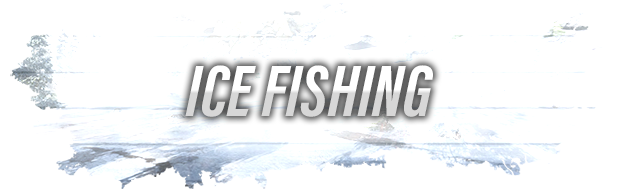 《终极钓鱼模拟器2/Ultimate Fishing Simulator 2》BUILD 16256269新增SANDBOX MODE|-官中|支持键鼠.手柄|容量24.3GB